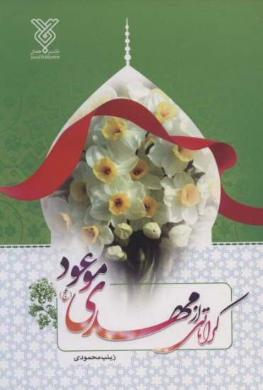 تصویر  کرامتی از مهدی موعود (عج)